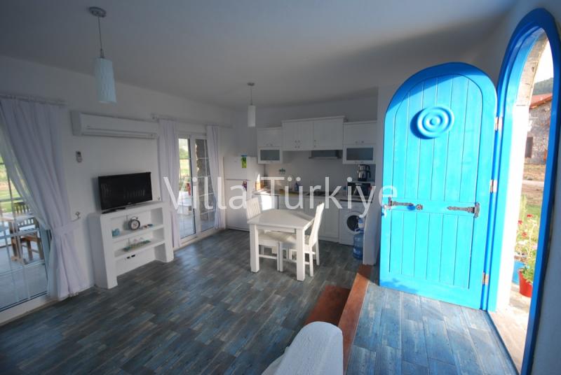 Mavi Kapı
